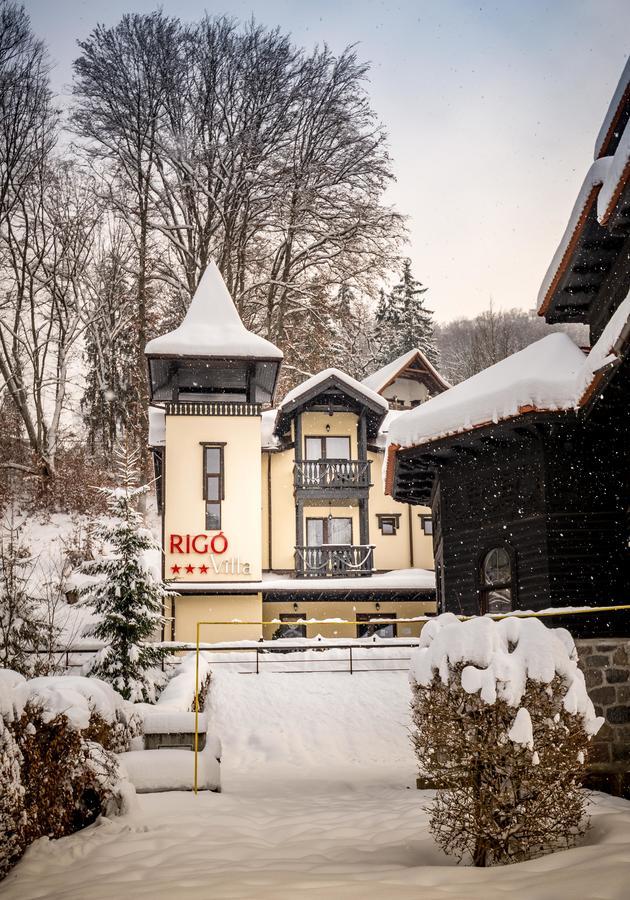 Vila Rigo Sovata Bagian luar foto